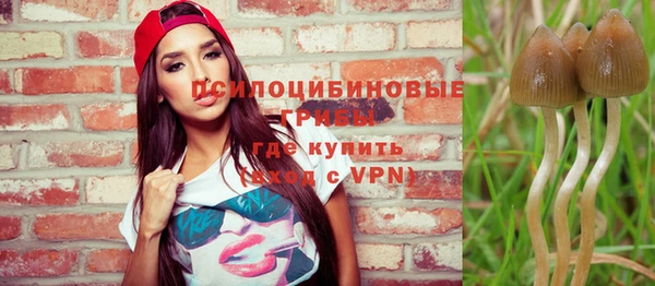 мяу мяу мука Рославль