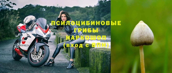 mdpv Ростов