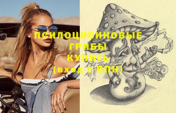 амфетамин Ветлуга