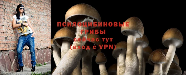 СК Абаза