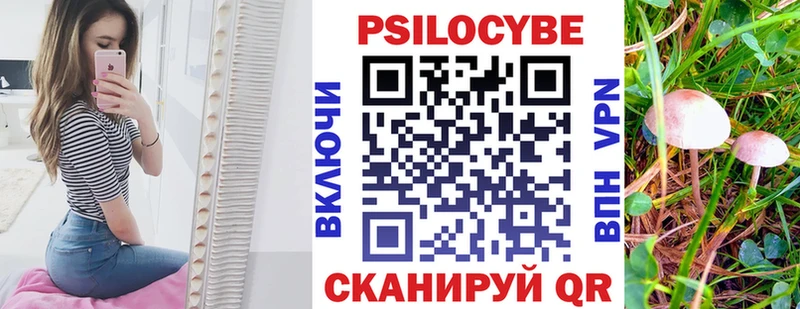 Псилоцибиновые грибы прущие грибы Касли